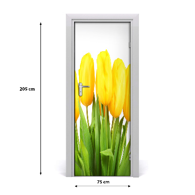 Fototapeta samolepící Žluté tulipány