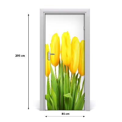 Fototapeta samolepící Žluté tulipány