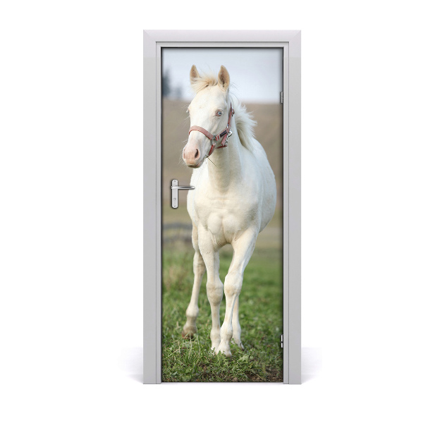 Samolepící fototapeta na dveře Bílý kůň
