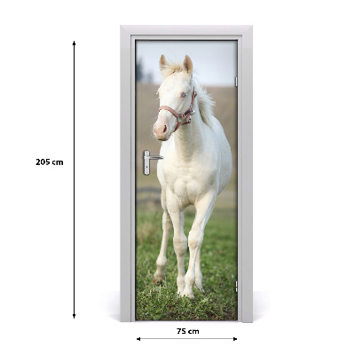 Samolepící fototapeta na dveře Bílý kůň