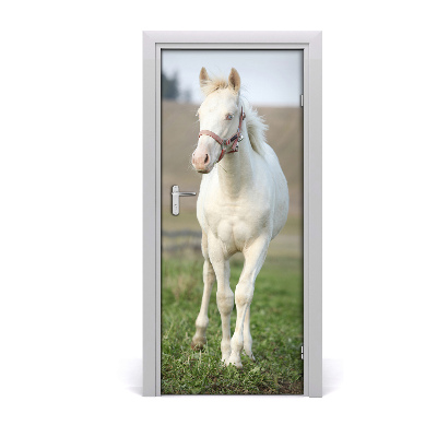 Samolepící fototapeta na dveře Bílý kůň