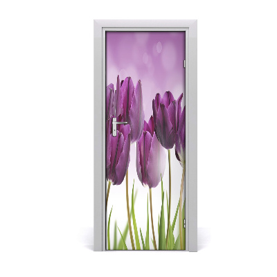 Fototapeta samolepící Fialové tulipány