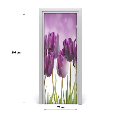 Fototapeta samolepící Fialové tulipány