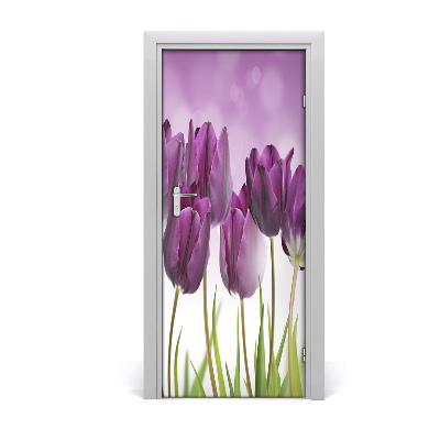 Fototapeta samolepící Fialové tulipány