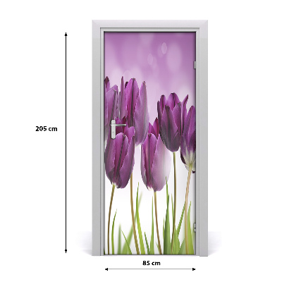 Fototapeta samolepící Fialové tulipány