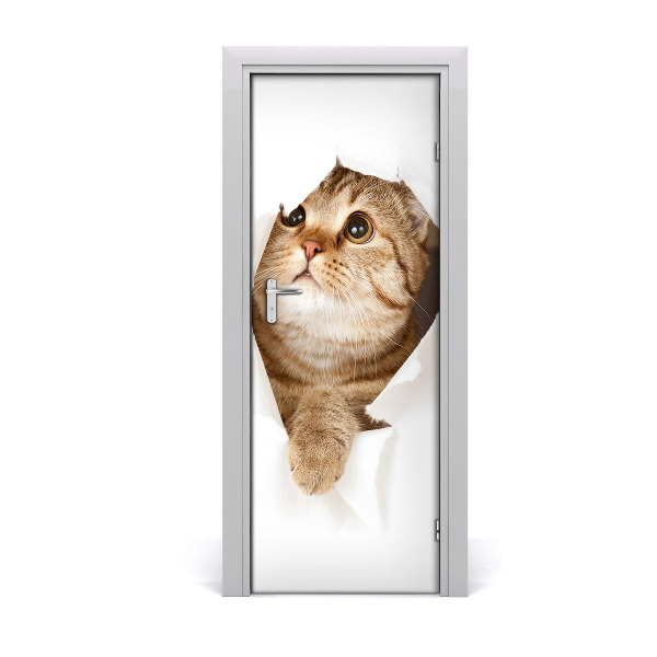 Samolepící fototapeta na dveře Kočka