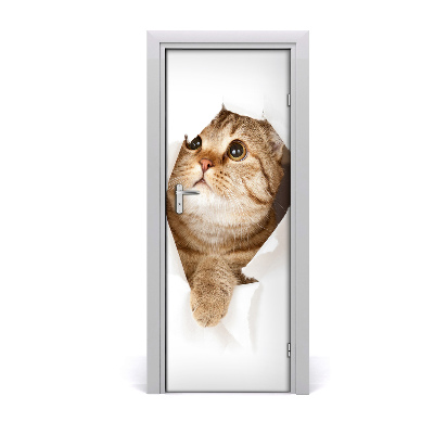 Samolepící fototapeta na dveře Kočka
