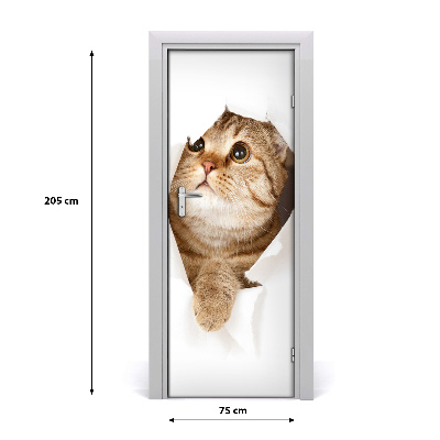 Samolepící fototapeta na dveře Kočka