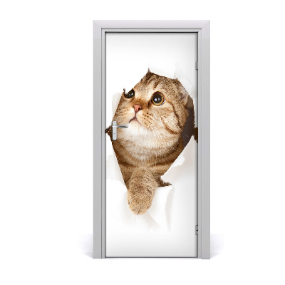Samolepící fototapeta na dveře Kočka