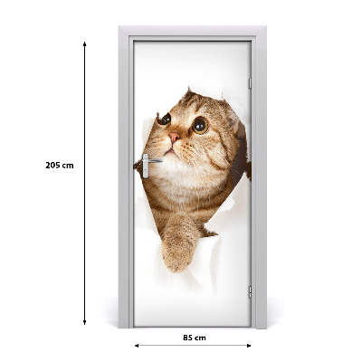 Samolepící fototapeta na dveře Kočka