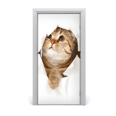 Samolepící fototapeta na dveře Kočka