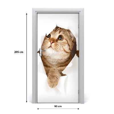 Samolepící fototapeta na dveře Kočka