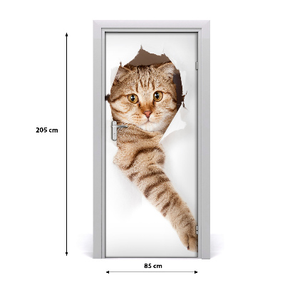 Samolepící fototapeta na dveře Kočka