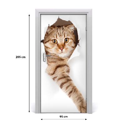 Samolepící fototapeta na dveře Kočka