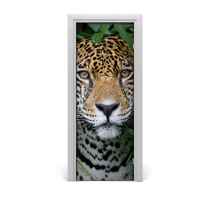 Fototapeta samolepící na dveře Amazonie jaguár