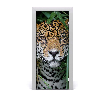 Fototapeta samolepící na dveře Amazonie jaguár