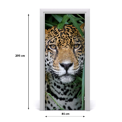 Fototapeta samolepící na dveře Amazonie jaguár