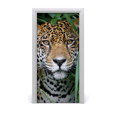 Fototapeta samolepící na dveře Amazonie jaguár