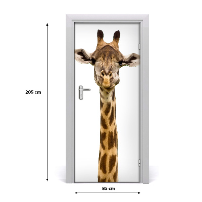 Samolepící fototapeta na dveře Žirafa