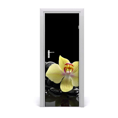 Fototapeta samolepící Orchidej a kamení