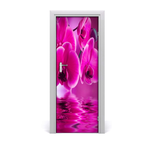 Fototapeta samolepící Růžová orchidej