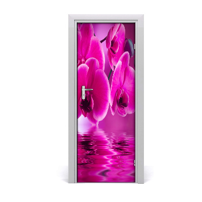 Fototapeta samolepící Růžová orchidej