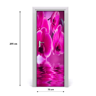 Fototapeta samolepící Růžová orchidej