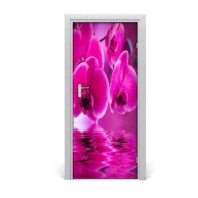 Fototapeta samolepící Růžová orchidej
