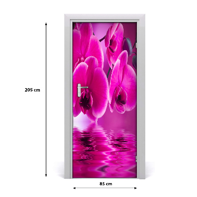 Fototapeta samolepící Růžová orchidej