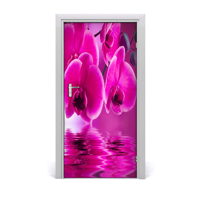 Fototapeta samolepící Růžová orchidej