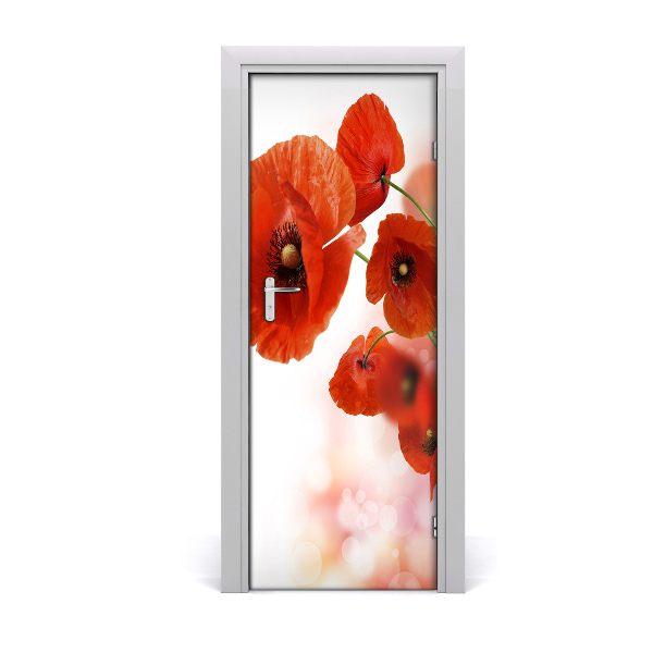 Fototapeta samolepící Polní mák