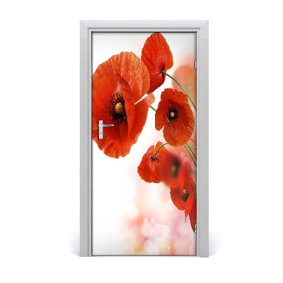 Fototapeta samolepící Polní mák