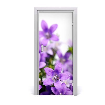 Fototapeta samolepící Fialové zvonky