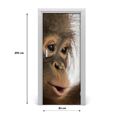 Samolepící fototapeta na dveře Mladý orangután