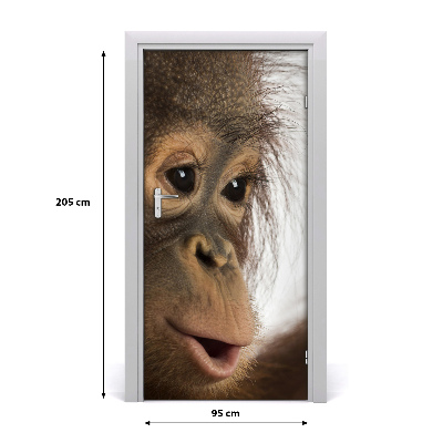 Samolepící fototapeta na dveře Mladý orangután