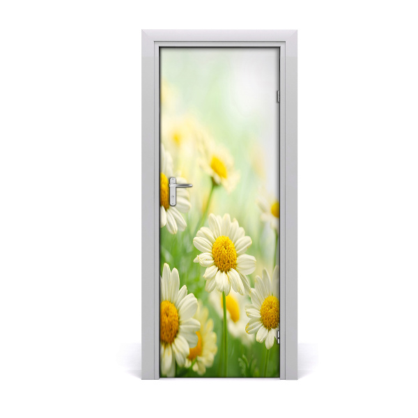 Fototapeta samolepící Sedmikárska