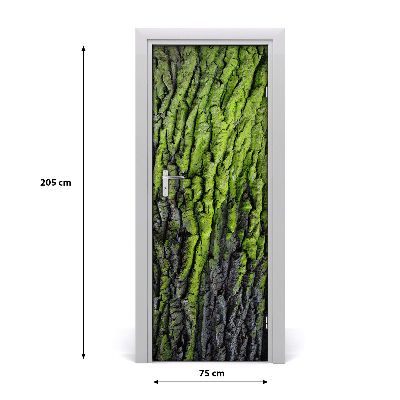 Fototapeta samolepící Kůra stromu