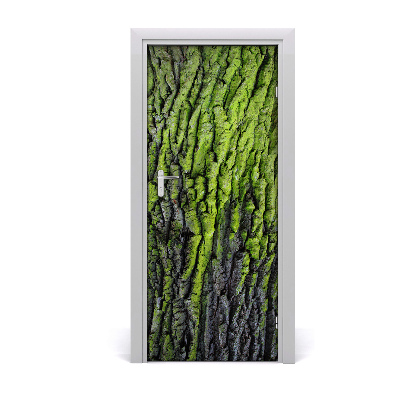 Fototapeta samolepící Kůra stromu