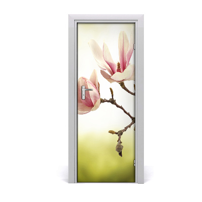 Fototapeta samolepící květy magnolie