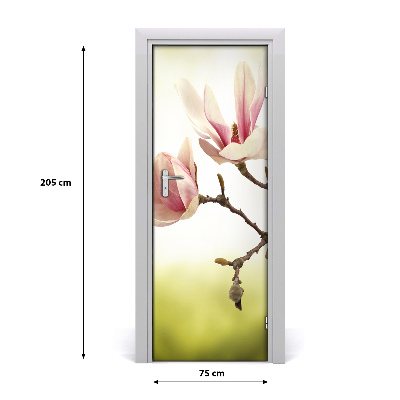 Fototapeta samolepící květy magnolie