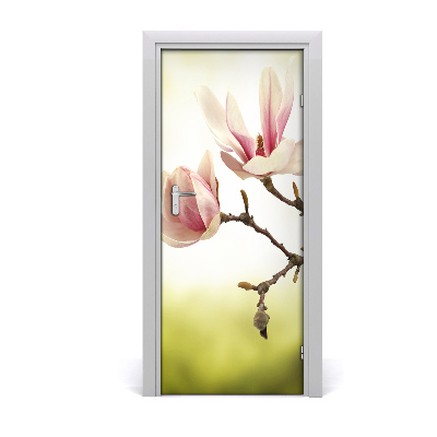 Fototapeta samolepící květy magnolie