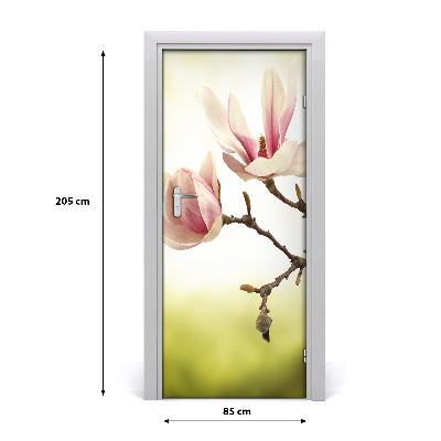 Fototapeta samolepící květy magnolie