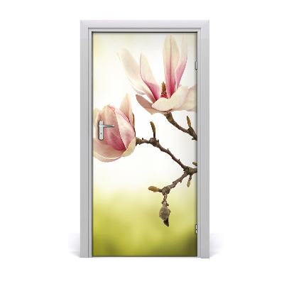 Fototapeta samolepící květy magnolie