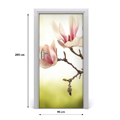 Fototapeta samolepící květy magnolie