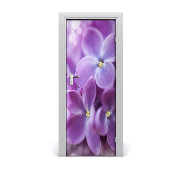 Fototapeta samolepící Květy bezu