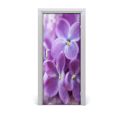 Fototapeta samolepící Květy bezu