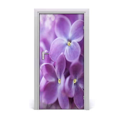 Fototapeta samolepící Květy bezu
