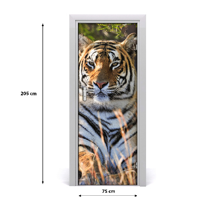 Samolepící fototapeta na dveře Tygr