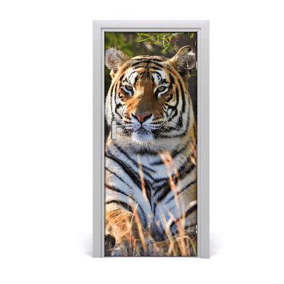 Samolepící fototapeta na dveře Tygr