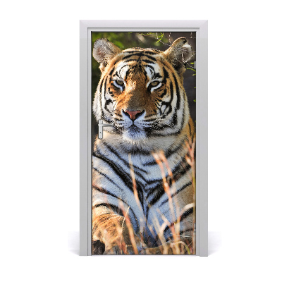 Samolepící fototapeta na dveře Tygr